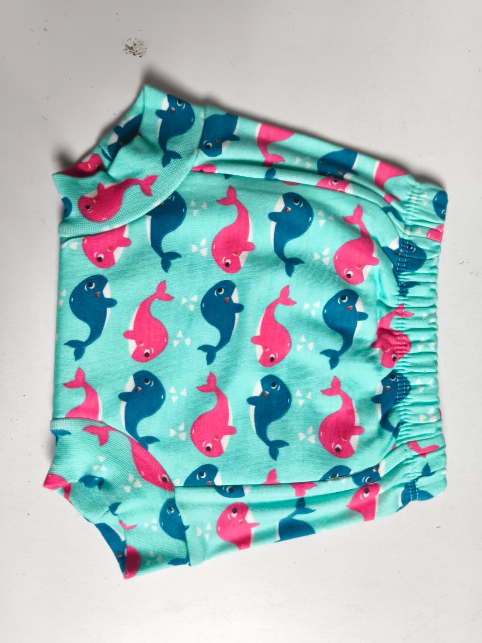 Dolphin - Snug